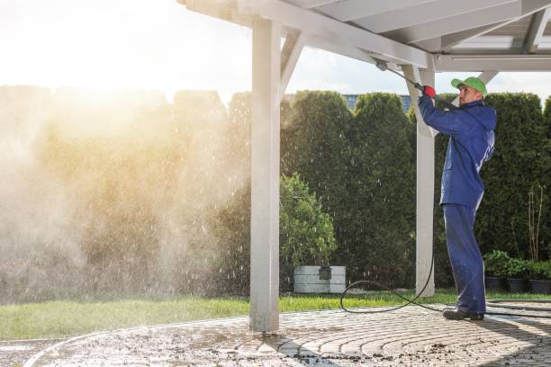 Best Sidewalk and Walkway Cleaning  in Bridgeview, IL